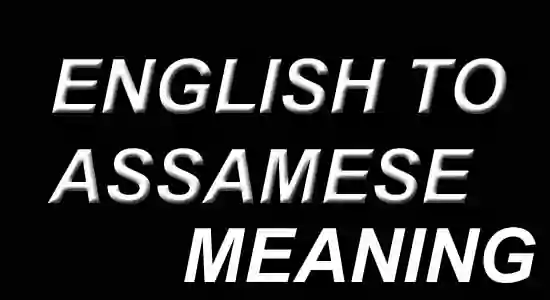 meaning in Assamese